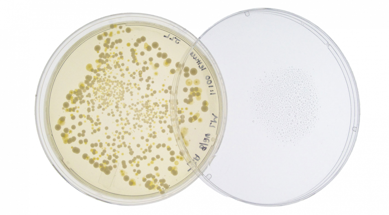 Hygi&euml;ne - vroeger, nu en in de toekomst_445