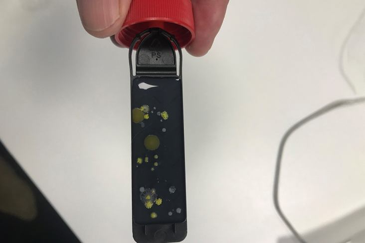 Toiletonderzoek_1033