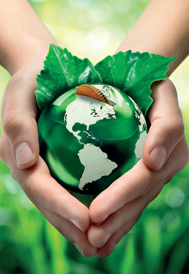 Vepa Bins - groene aarde